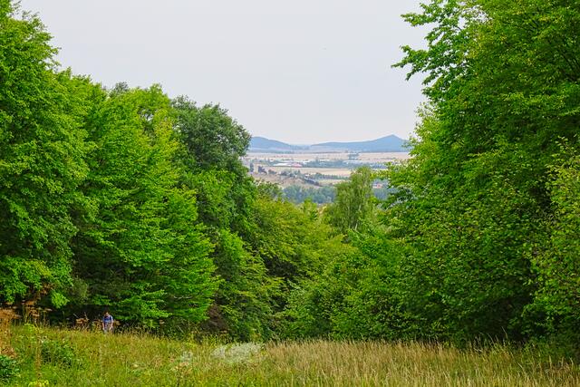 Blick vom Münchenberg in nördlicher Richtung (Hoppelberg)