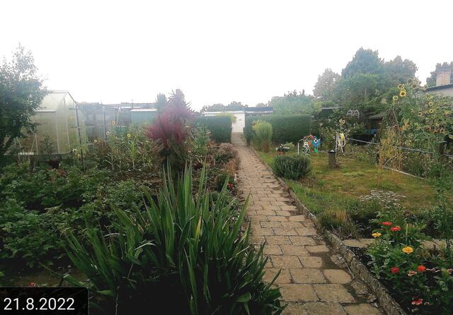 21.8.2022 !!! Gartenschau - Sonntagsbilder Temperaturen: Früh 6:18 18,3 Grad / 11:25h 25° / 13:16 h 26, 9° plus | Foto: MW-FotoNebra