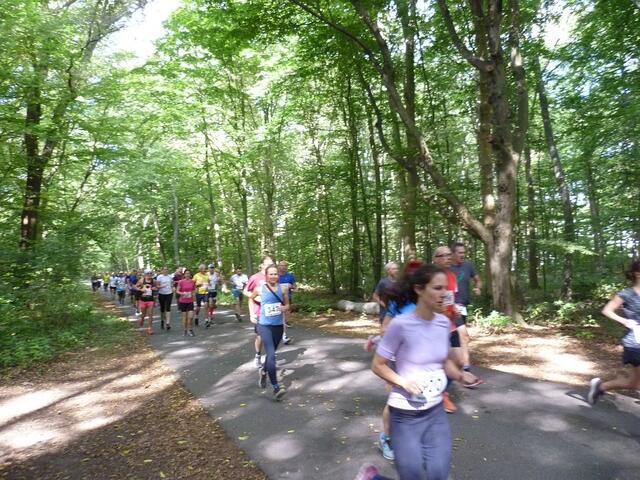 Der Stadtwald Eilenriede bietet hervorragende Laufstrecken.