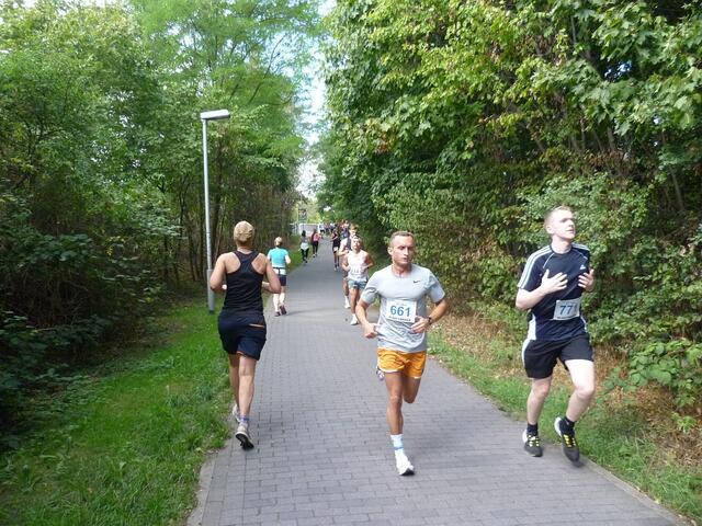 Kleiner Anstieg Messeschnellweg-Brücke.
