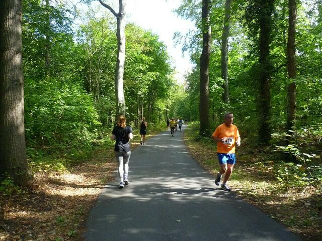 Die ganze Strecke ist asphaltiert. Baumwurzeln haben aber an manchen Stellen Wellen im Asphalt geschaffen.