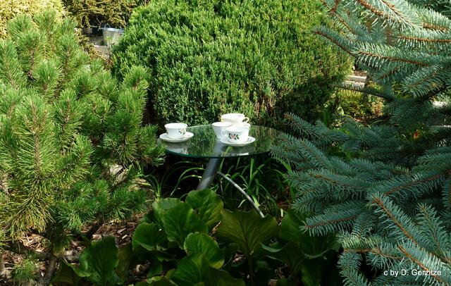 Vogeltränke für gehobene "Gäste" !