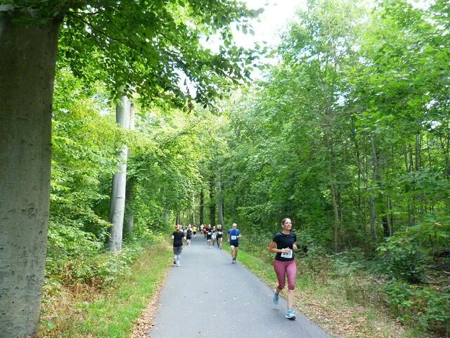 Ab Zoo Hannover herrscht Linksverkehr für die Athleten.