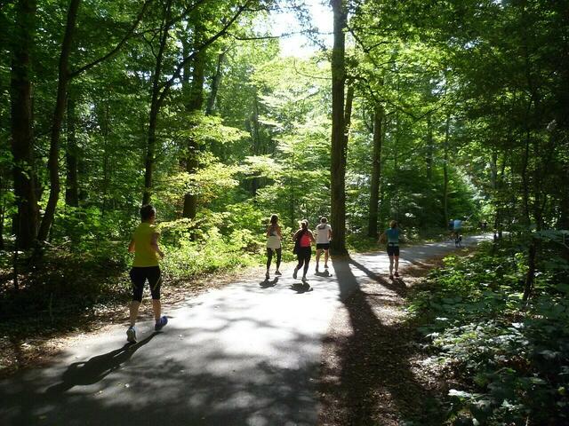 Optimales Laufwetter zum Eilenriederennen 2022.