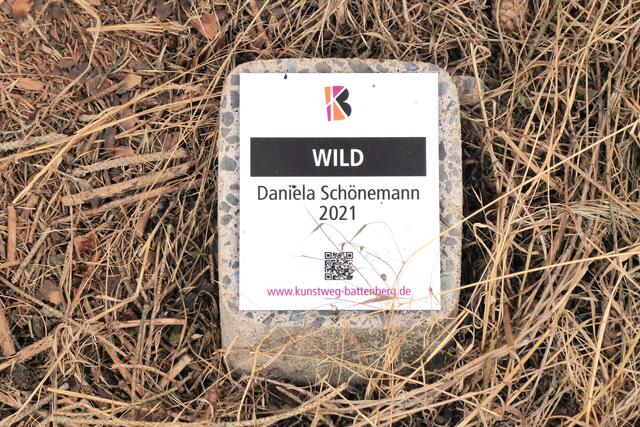 Wild - Daniela Schönemann.
