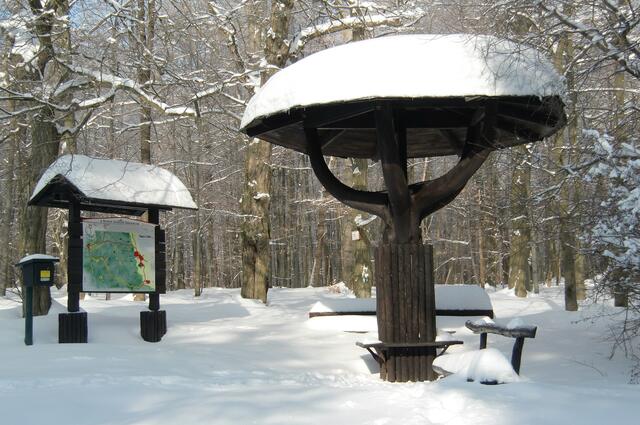 der Schirm im Winter (Archivbild)