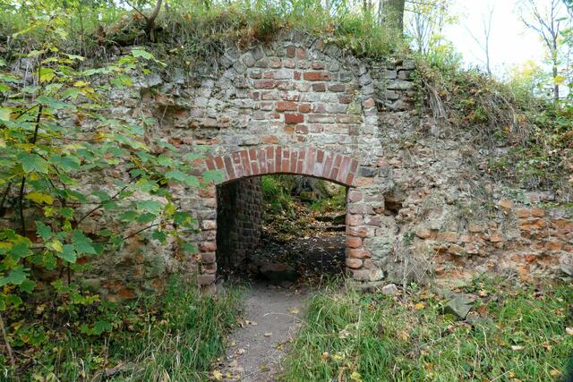 Burg Anhalt, hier wurden erstmals  Ziegelsteine beim Burgbau eingesetzt.  Das Wort "Anhalt" soll bedeuten - ohne Holz gebaut(Archivbild).