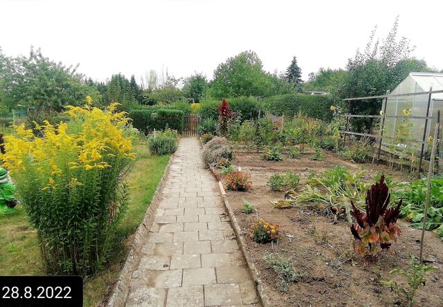 28.8.2022 !!! Gartenschau - Sonntagsbilder 2022 !!!   Temperaturen: Früh 6:11 16,3 Grad / 11:25h 21° / 13:16 h 26, 9° plus