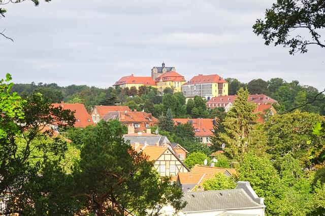 Blick vom Stadtwald auf das Schlossensemble