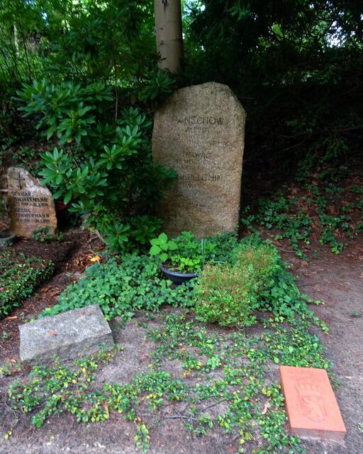 Albert Panschow, Orthopädie- und Chirurgiemechaniker, Kommunalpolitiker (DVP), Stadtverordneter, Stadtältester