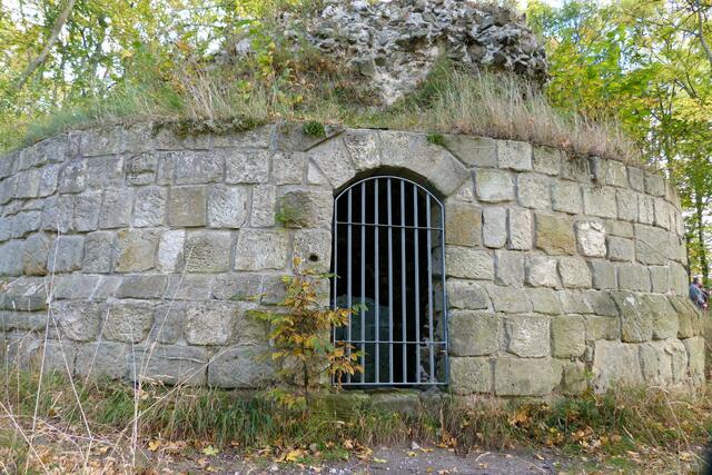 Burg Anhalt Bergfried (Archivbild)