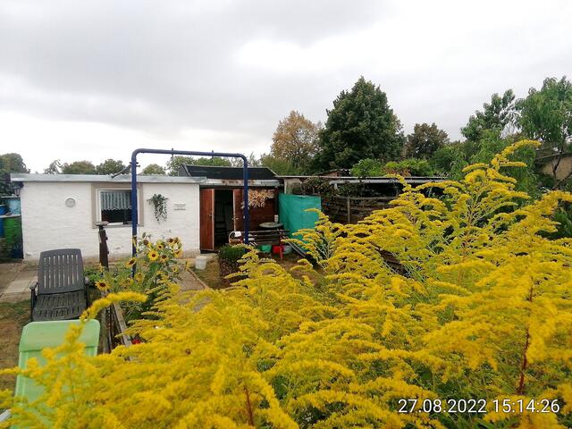 28.8.2022 !!! Gartenschau - Sonntagsbilder 2022 !!!   Temperaturen: Früh 6:11 16,3 Grad / 11:25h 21° / 13:16 h 26, 9° plus