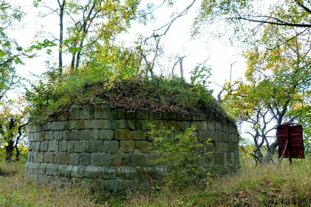 Bergfried Burg Anhalt (Archivbild)