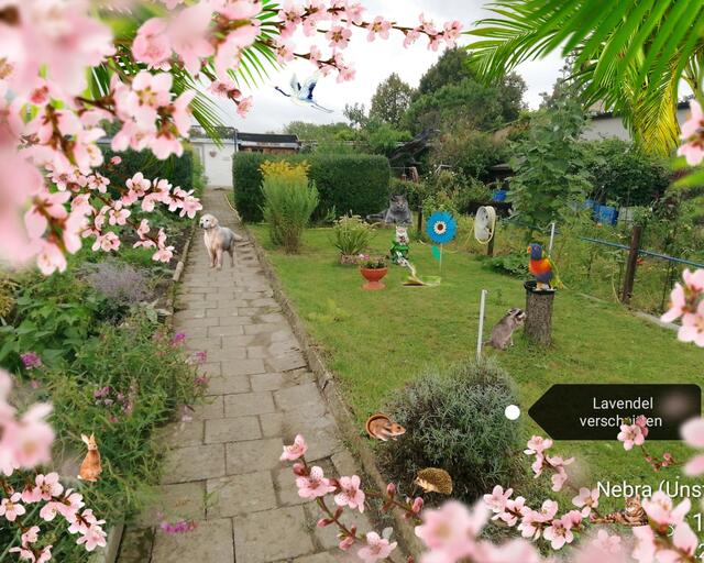 28.8.2022 !!! Gartenschau - Sonntagsbilder 2022 !!!   Temperaturen: Früh 6:11 16,3 Grad / 11:25h 21° / 13:16 h 26, 9° plus