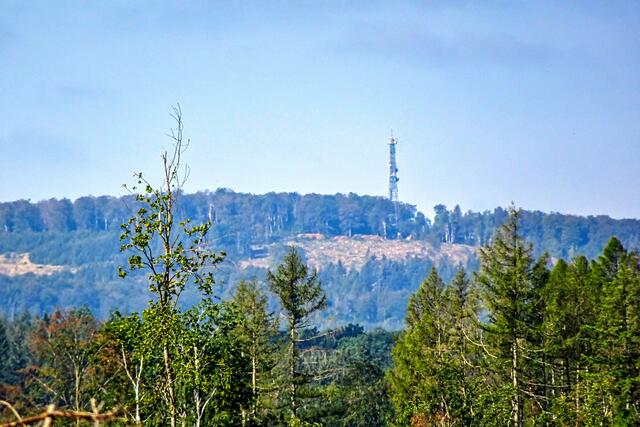 Blick vom Leimuferstr. auf den 10 km entfernten Rammberg (Friedrichsbrunn)