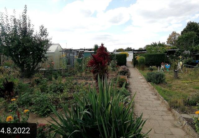 7.8.2022 !!! Gartenschau - Sonntagsbilder 2022 !!! Temperaturen: Früh 3:08 9,3 Grad / 11:11h 18° / 13:26 h 28, 9° plus | Foto: MW-FotoNebra