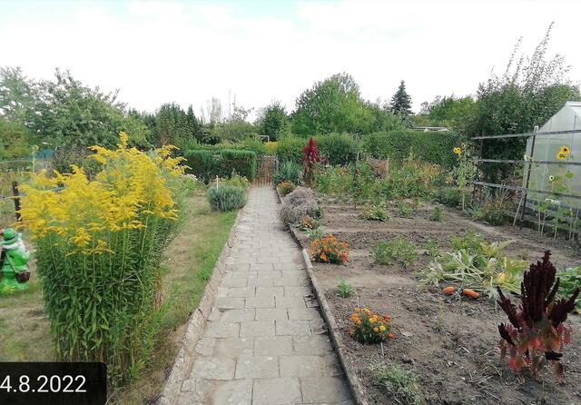 7.8.2022 !!! Gartenschau - Sonntagsbilder 2022 !!! Temperaturen: Früh 3:08 9,3 Grad / 11:11h 18° / 13:26 h 28, 9° plus | Foto: MW-FotoNebra