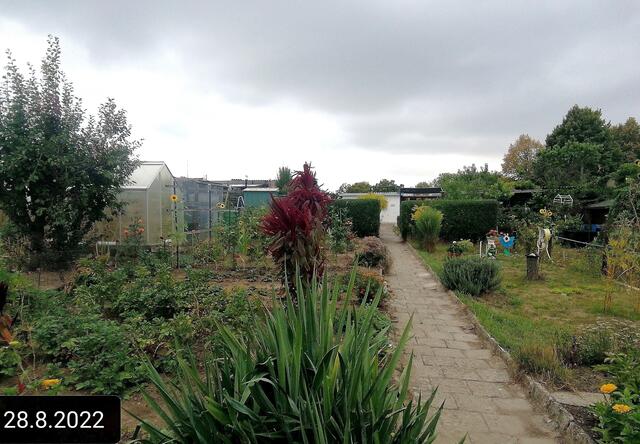 28.8.2022 !!! Gartenschau - Sonntagsbilder 2022 !!! Temperaturen: Früh 6:11 16,3 Grad / 11:25h 21° / 13:16 h 26, 9° plus | Foto: MW-FotoNebra