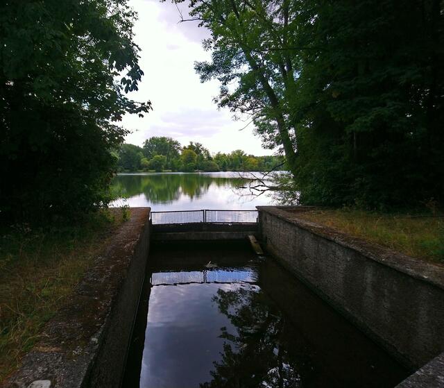 Blick auf den Ricklinger Teich