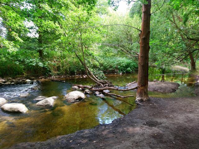 Der Bachlauf "Gauetwater"
