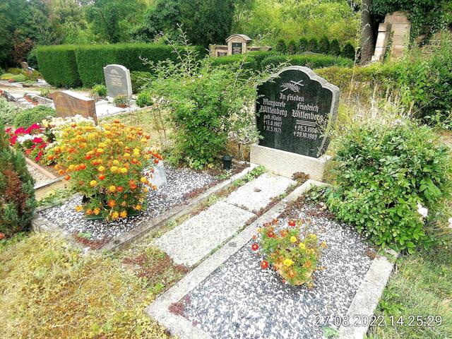 Friedhof - 11.9.2022 !!! Gartenschau - Sonntagsbilder 2022 !!!  Temperaturen: Früh 6:15 14,3 Grad / 11:29h 18,2° / 13:16 h 23,9° plus