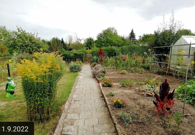 11.9.2022 !!! Gartenschau - Sonntagsbilder 2022 !!! Temperaturen: Früh 6:15 14,3 Grad / 11:29h 18,2° / 13:16 h 25,9° plus | Foto: MW-FotoNebra