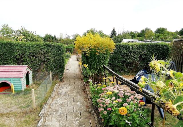 (4) - 11.9.2022 !!! Gartenschau - Sonntagsbilder 2022 !!!  Temperaturen: Früh 6:15 14,3 Grad / 11:29h 18,2° / 13:16 h 23,9° plus