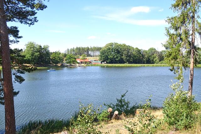 Birnbaumteich