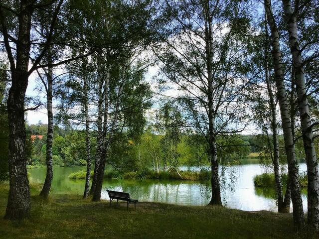 Ein paar Impressionen vom dem sich anschließenden Spaziergang am See entlang, hin zum Schloß...