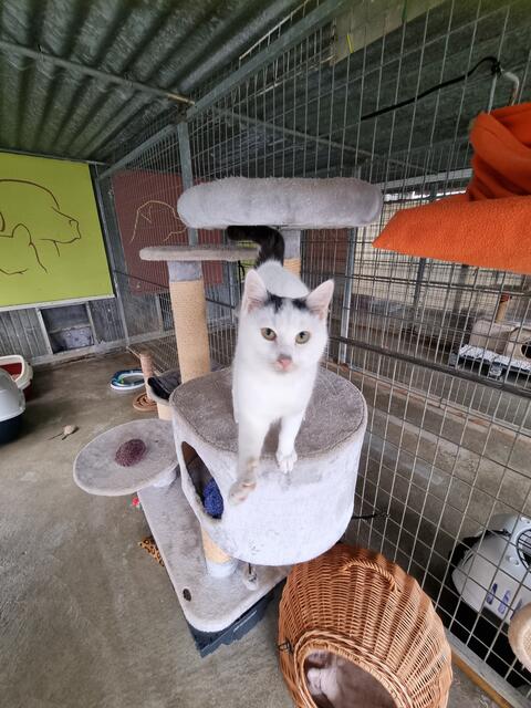 Berthold (Pflegestelle)