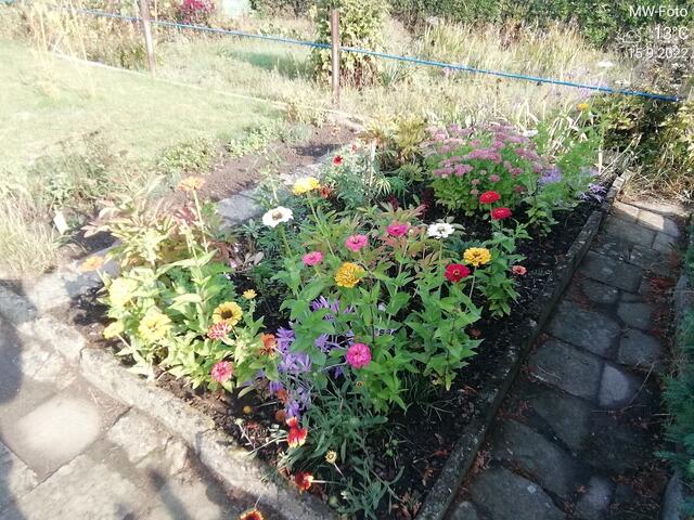 Blumenbeet (2) - 18.9.2022 !!! Gartenschau - Sonntagsbilder 2022 !!!  Temperaturen: Früh 6:03 18,3 Grad / 11:19h 11,2° / 13:36 h 13,9° plus