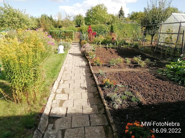 Gartenschau (1) - 18.9.2022 !!! Gartenschau - Sonntagsbilder 2022 !!!  Temperaturen: Früh 6:03 18,3 Grad / 11:19h 11,2° / 13:36 h 13,9° plus