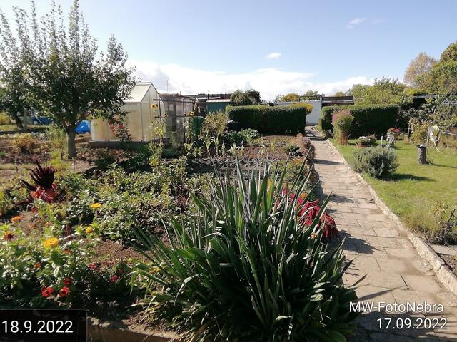 18.9.2022 !!! Gartenschau - Sonntagsbilder 2022 !!! Temperaturen: Früh 6:03 18,3 Grad / 11:19h 11,2° / 13:36 h 13,9° plus | Foto: MW-FotoNebra