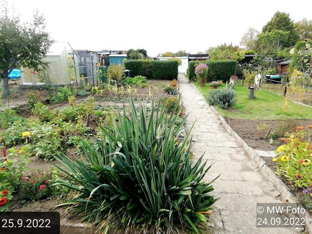 25.9.2022 !!! Gartenschau - Sonntagsbilder 2022 !!!  Temperaturen: Früh 6:23 9,3 Grad / 11:19h 16,3° / 13:36 h 18,9° plus | Foto: MW-FotoNebra