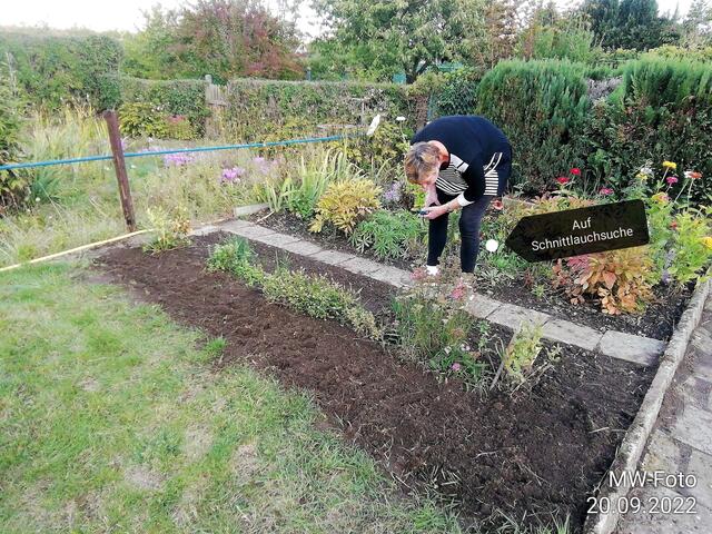 Kräuterbeet erweitert - 25.9.2022 !!! Gartenschau - Sonntagsbilder 2022 !!!  Temperaturen: Früh 6:23 9,3 Grad / 11:19h 16,3° / 13:36 h 18,9° plus