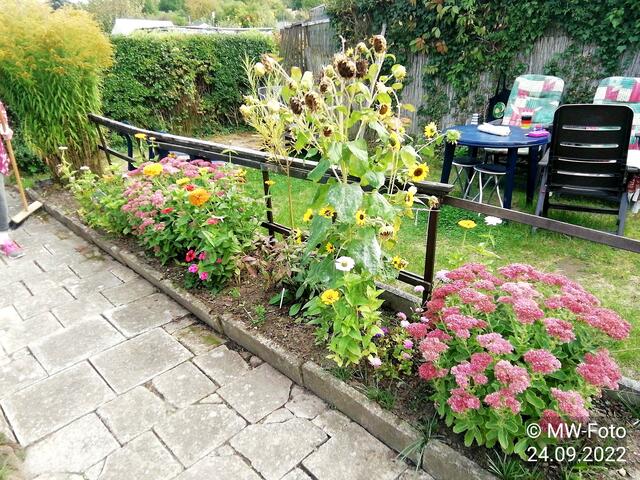 Blumenbeet (2) - 25.9.2022 !!! Gartenschau - Sonntagsbilder 2022 !!!  Temperaturen: Früh 6:23 9,3 Grad / 11:19h 16,3° / 13:36 h 18,9° plus