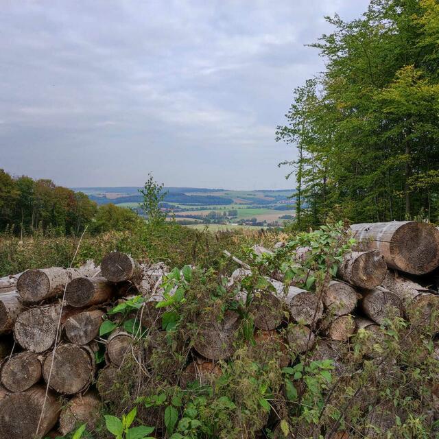 Eine von vielen schönen Aussichten