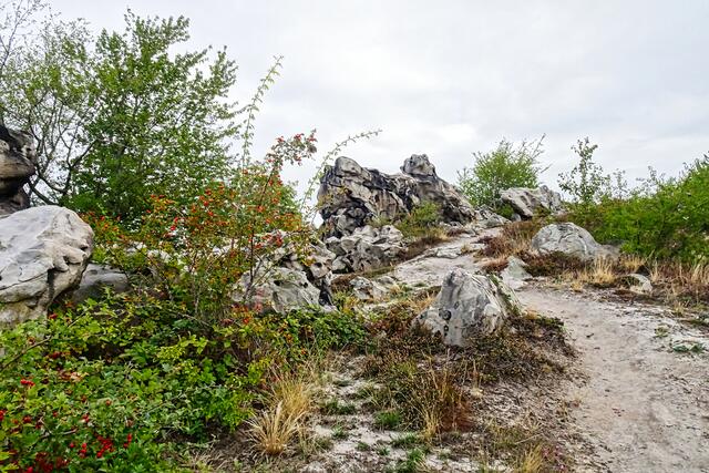 am Papenstein