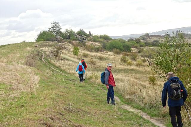 auf dem Kammweg zum Papenstein