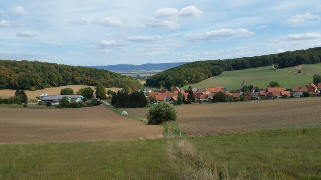 Im Hintergrund der Harz