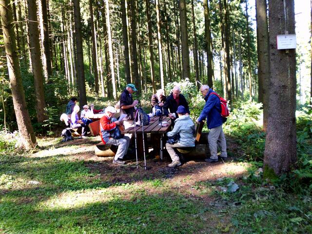 Der Picknickplatz September 2018 (mit dem Kneipp-Verein Barsinghausen)