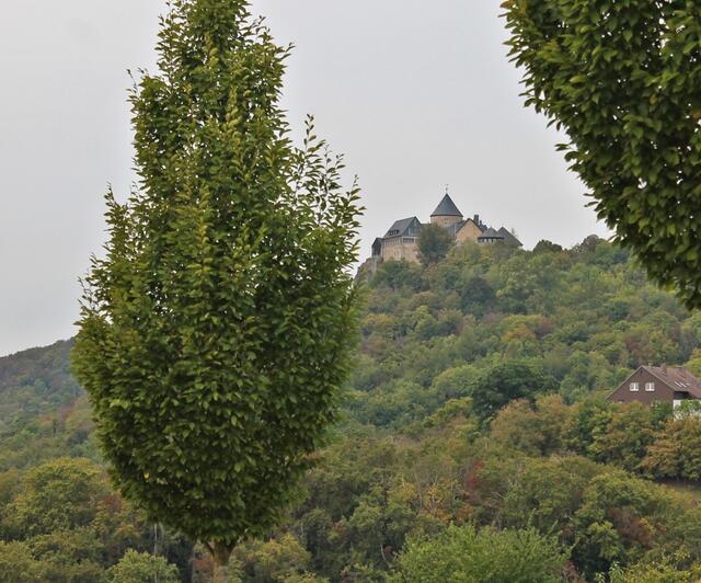 Blick auf Schloß Waldeck.
