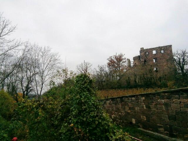 Burgruine - Kommt bitte mit auf den Rundgang in und um Nebra,danke im voraus !