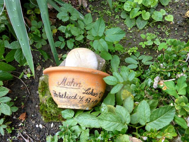 Mohn - Hohelied 4, 13+14