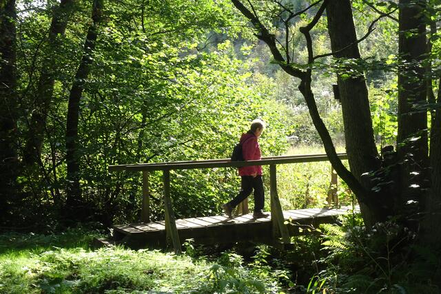 Brücke über Friedensbach