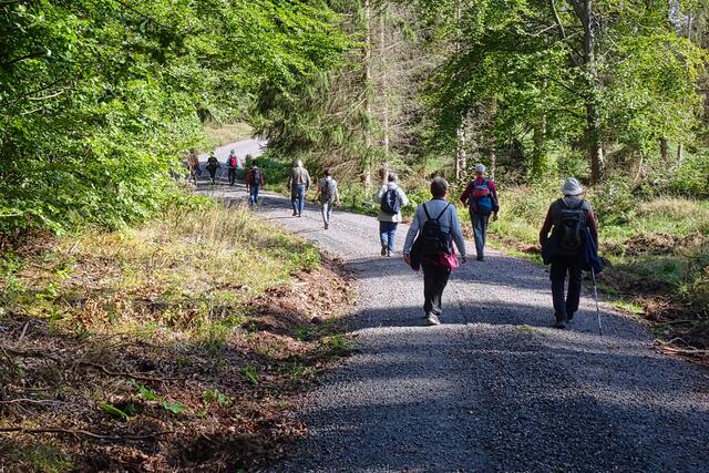 auf dem Weg zur Wildwiese