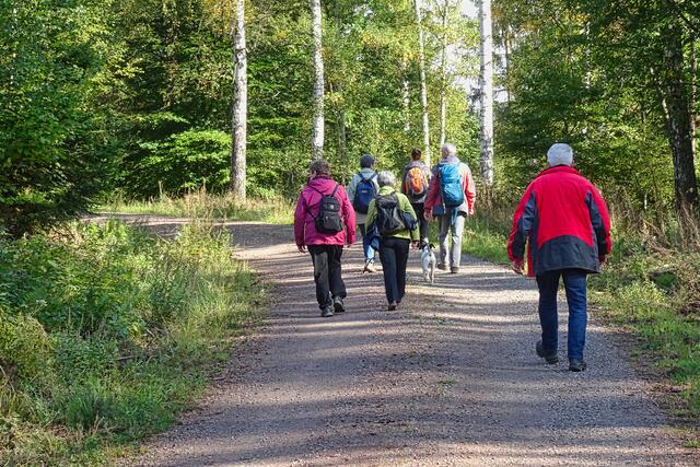 auf dem Forstweg zur Beckstraße