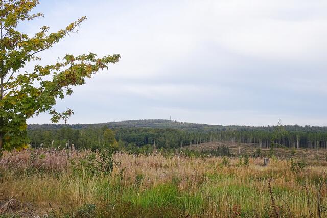 Ramberg mit dem Fernsehmast, dieser Blick war vor ein paar Jahren nicht möglich
