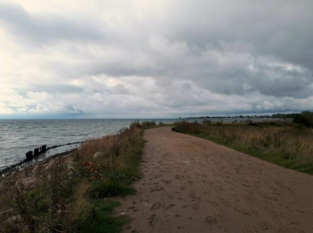 Küstenweg bei Dahmeshöved nach Kellenhusen