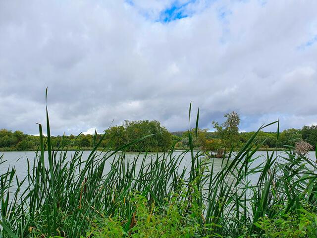 Seenlandschaft
